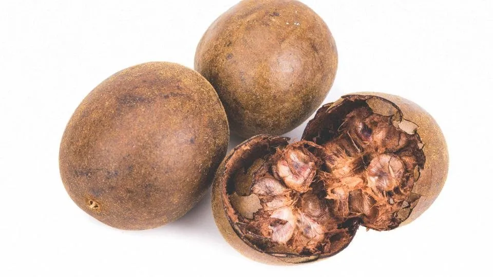 monk_fruit.jpg