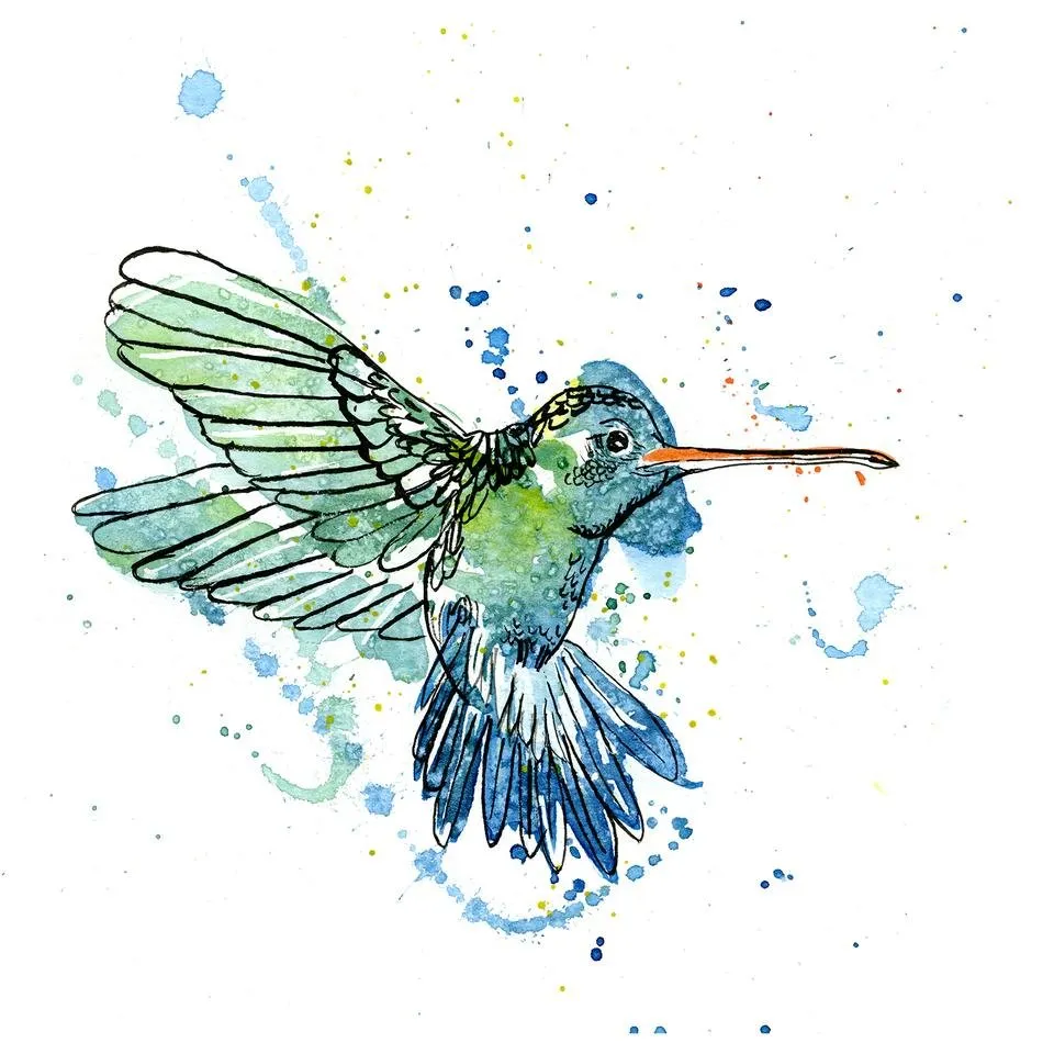 Hummingbird.jpg