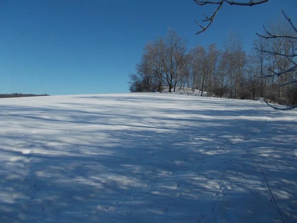 DSCN3161.JPG