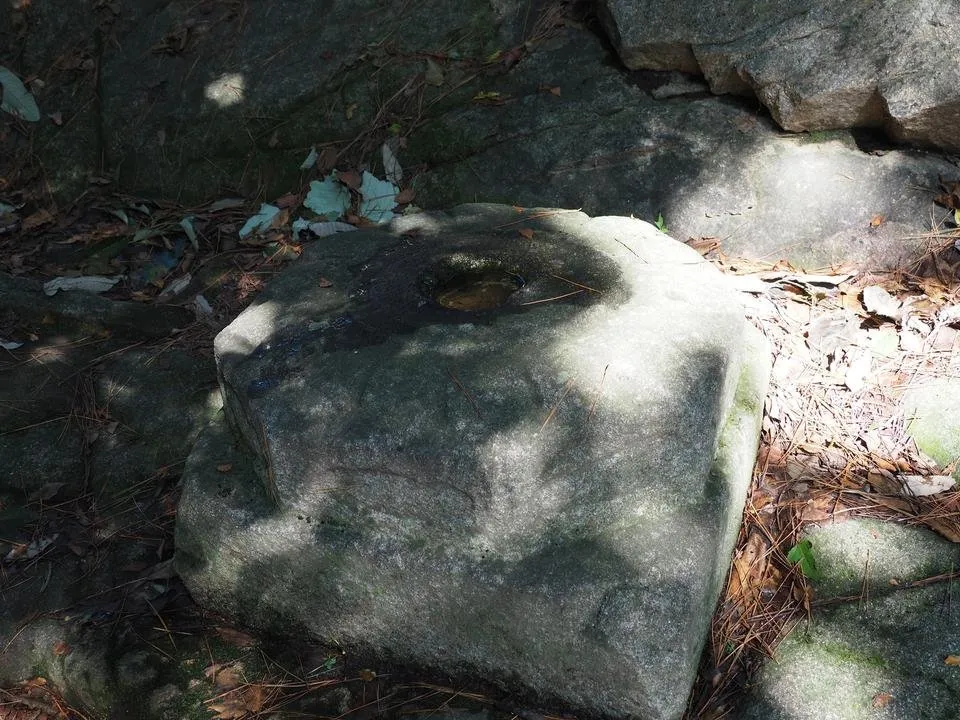 P9010334.JPG