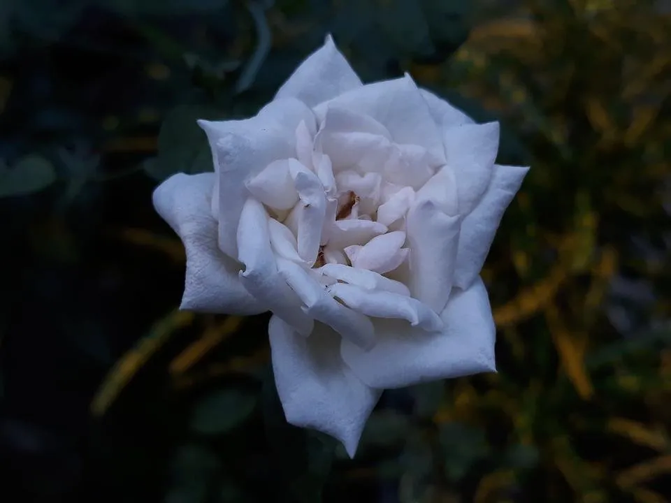 20180601_172043.jpg