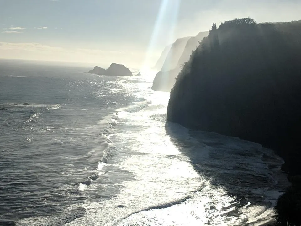 MVIMG_20190109_082117.jpg
