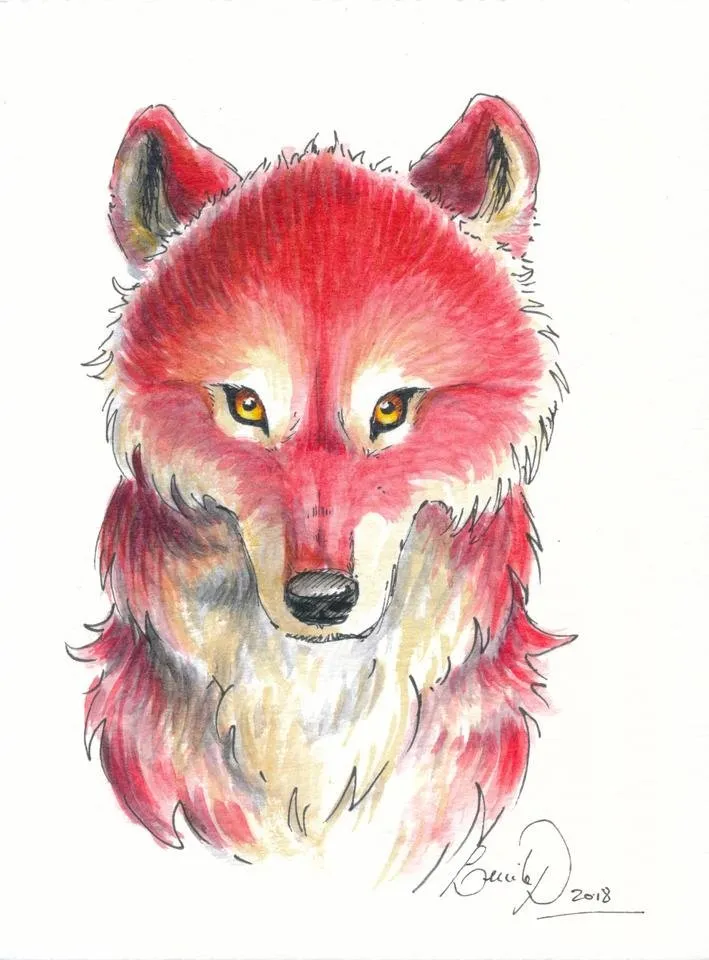 loup rouge portrait_niveaux.jpg