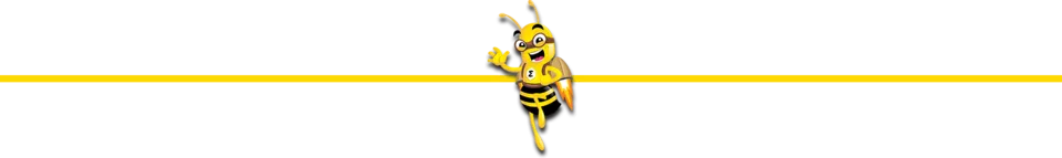 smartbee-devider.png