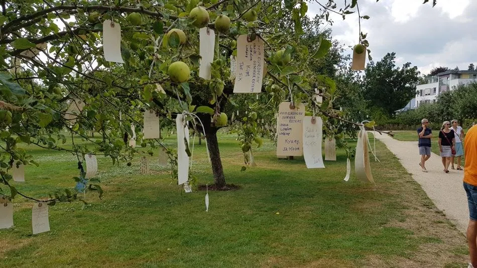 Wishtrees1.jpg