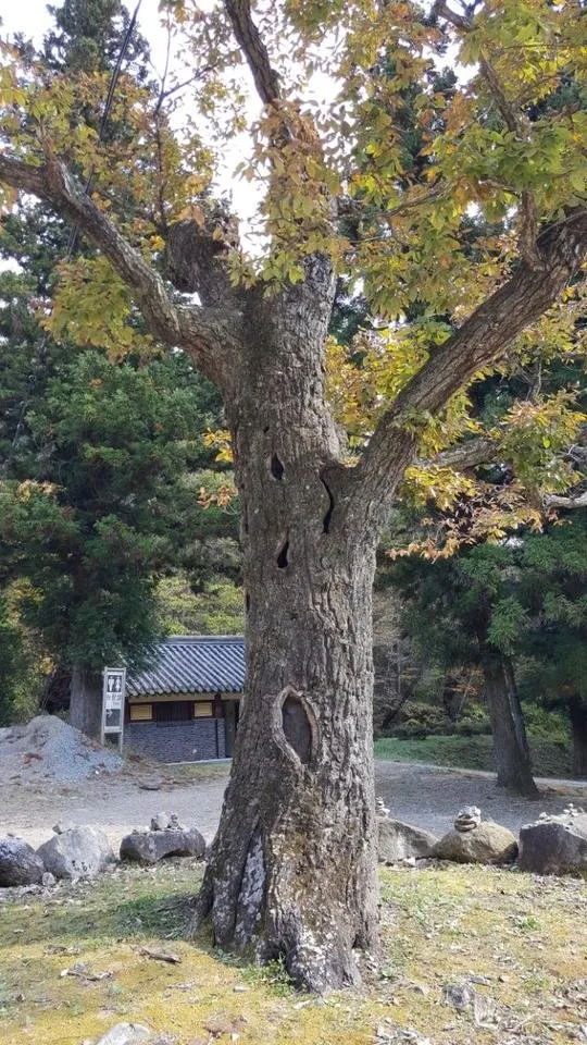 선암사2.jpg