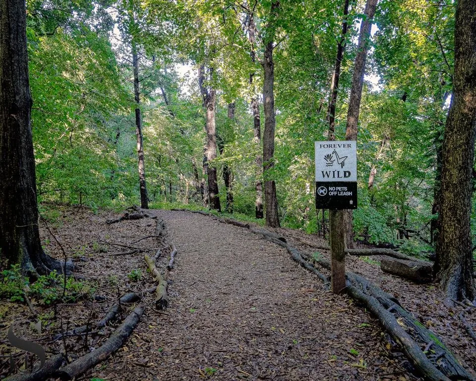 1 Wednesday Walk Riverside park west-2.jpg