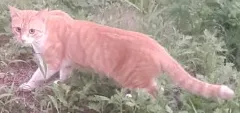 날보.png