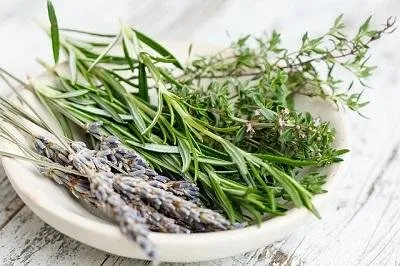 herbes mélange.jpg