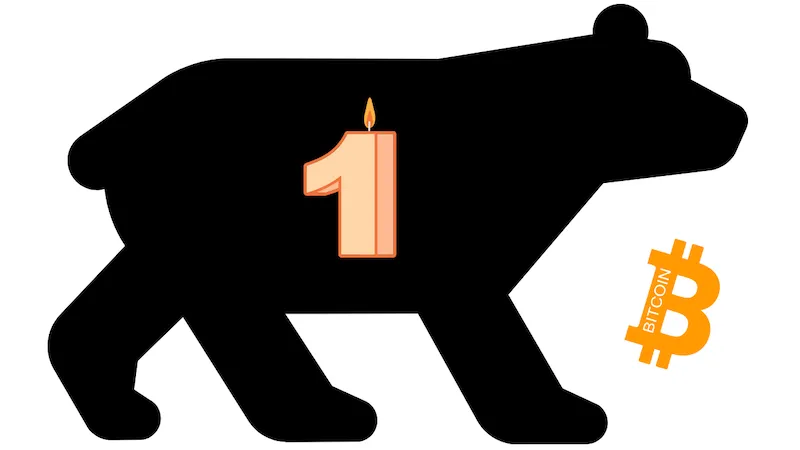 bear canva.png