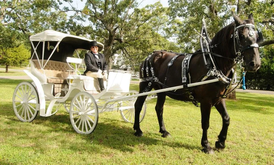 victorian-carriage-1500.jpg