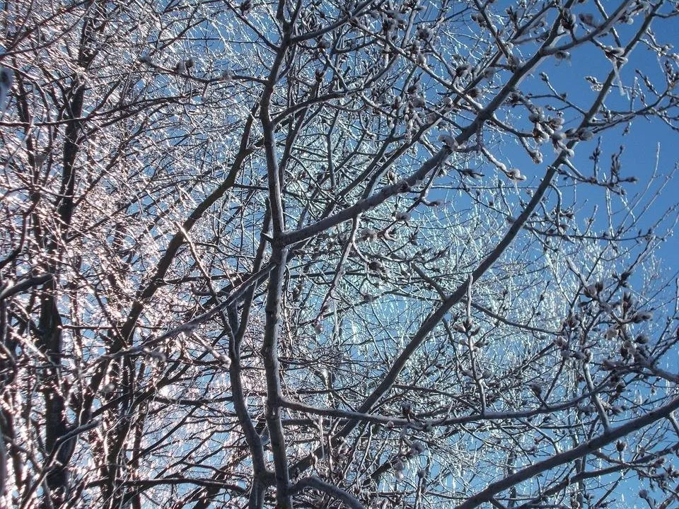 DSCN3163.JPG