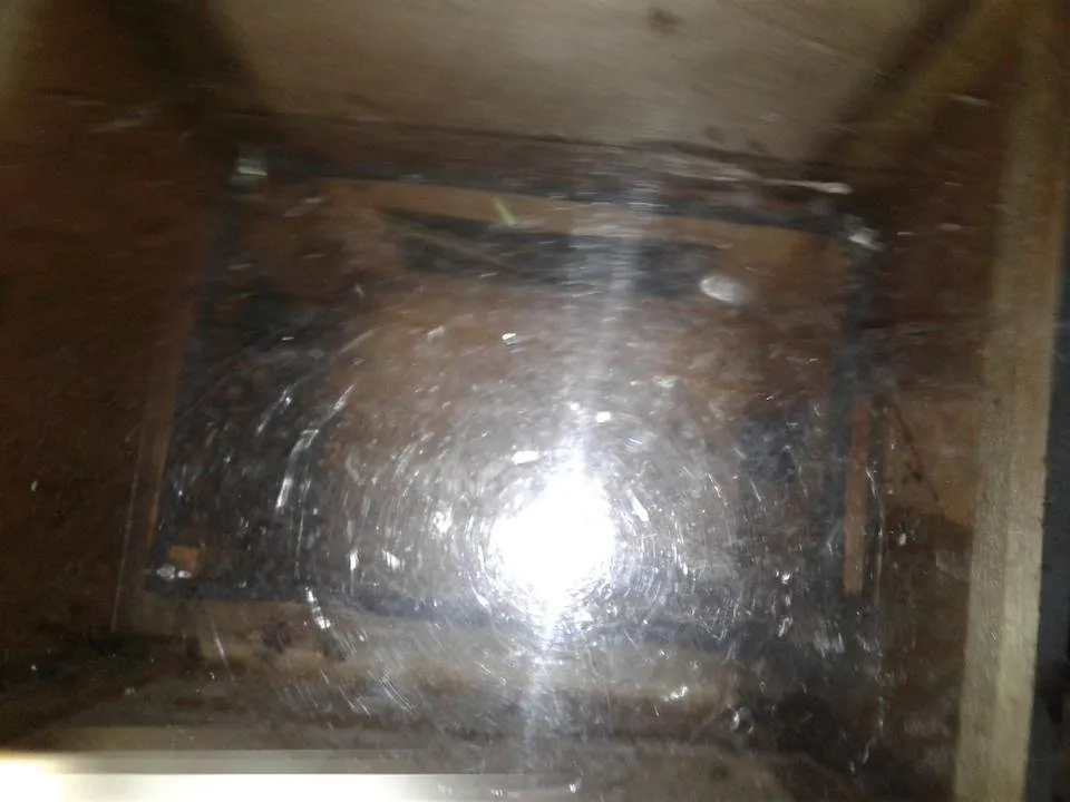 20190306_195019.jpg