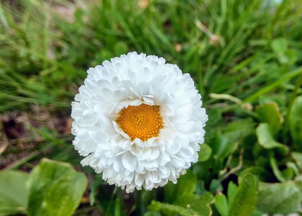 IMG_20180521_180910_HDR.jpg