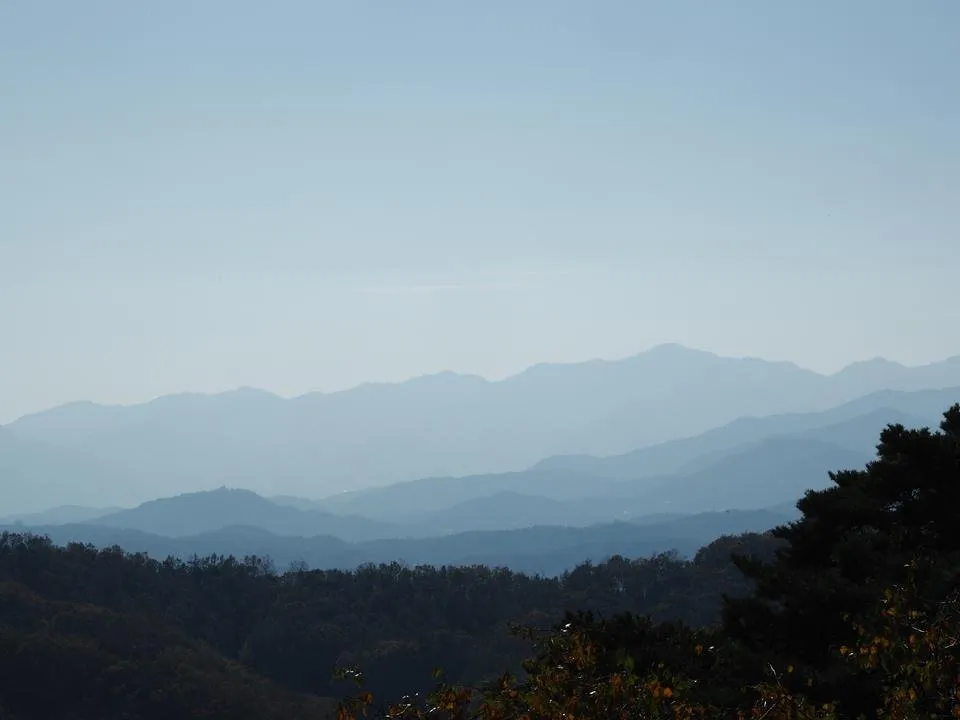 PA210276.JPG