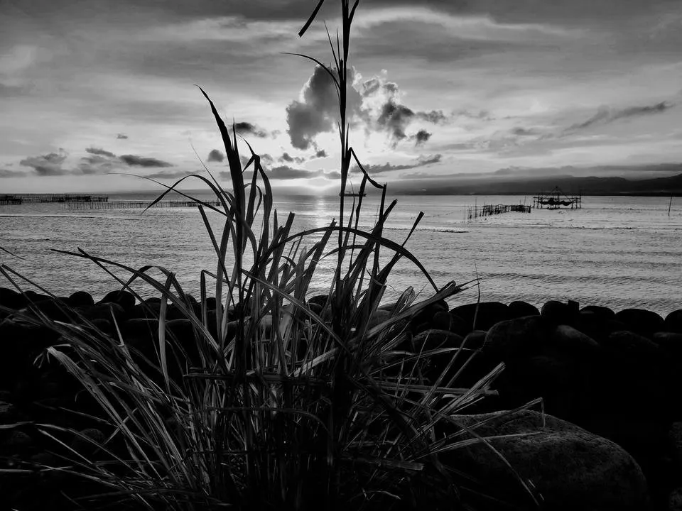 A0787CB8-1D3D-4239-BFEE-70CADA372DCE.jpeg