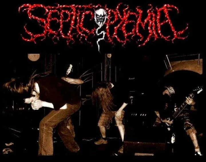Septicopyemia - COVER.jpg
