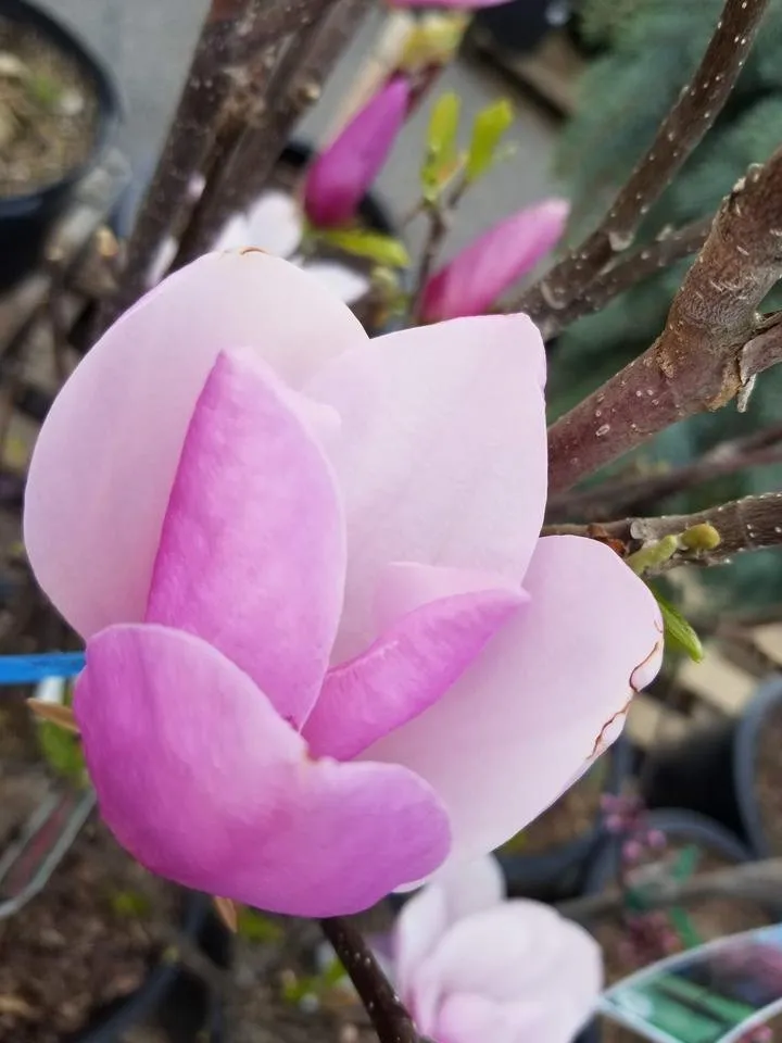 20190504_194844.jpg
