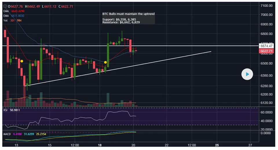 BTCDOLLER.png
