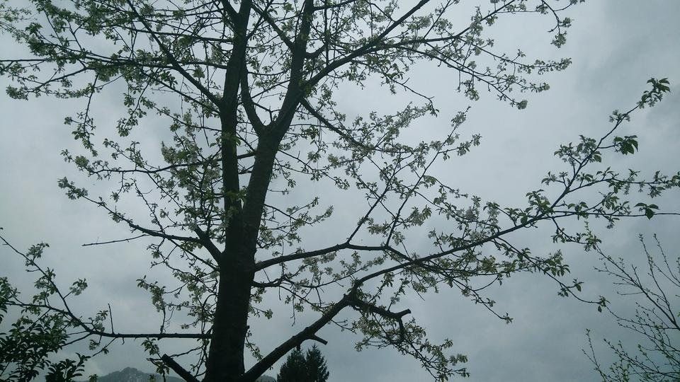 IMG_20180324_122618-01.jpeg