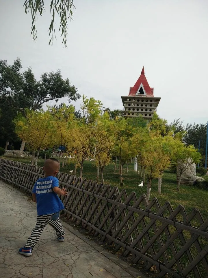 IMG20180915110621.jpg