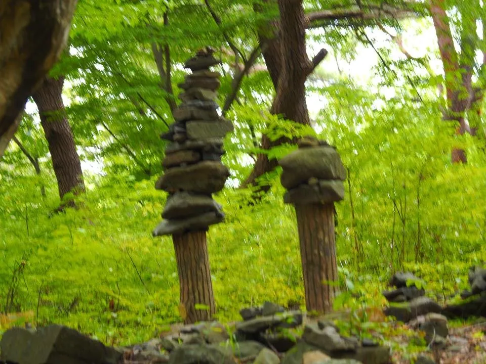 _9020680.JPG