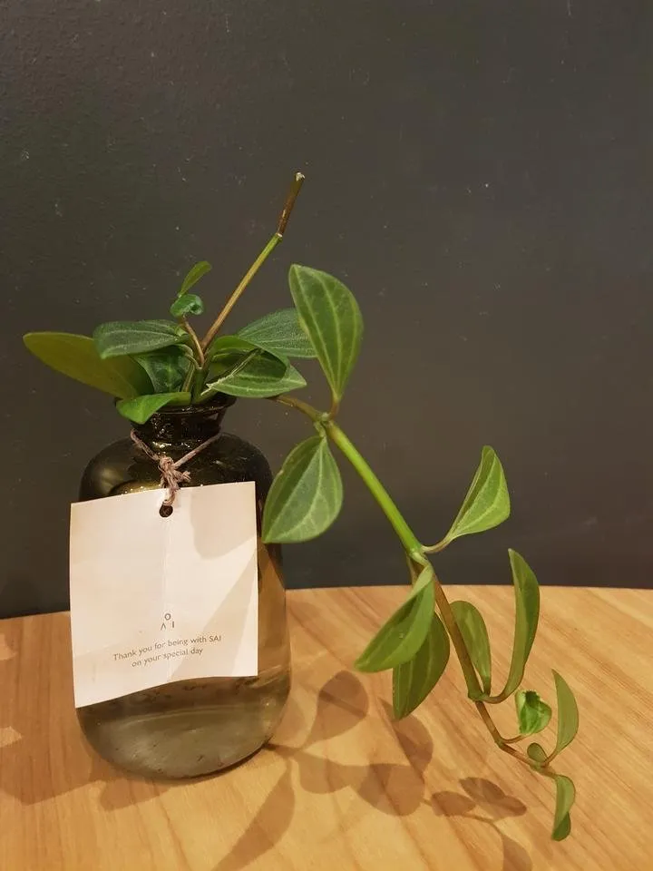 20190529_203646.jpg