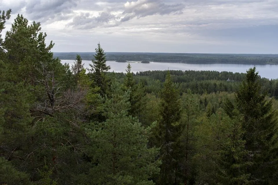 näk6.jpg