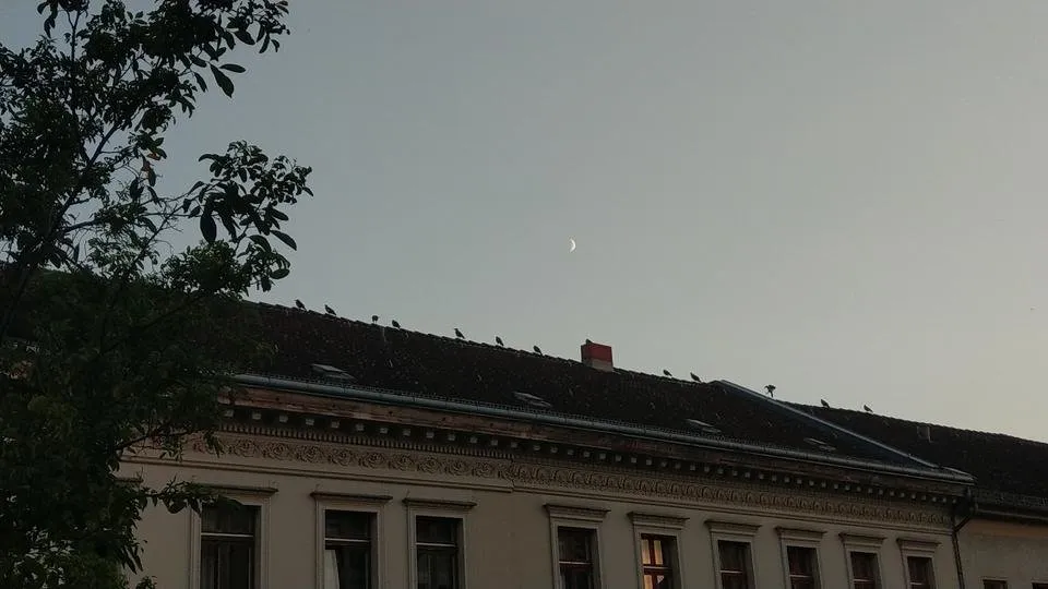 DSC_0126.JPG