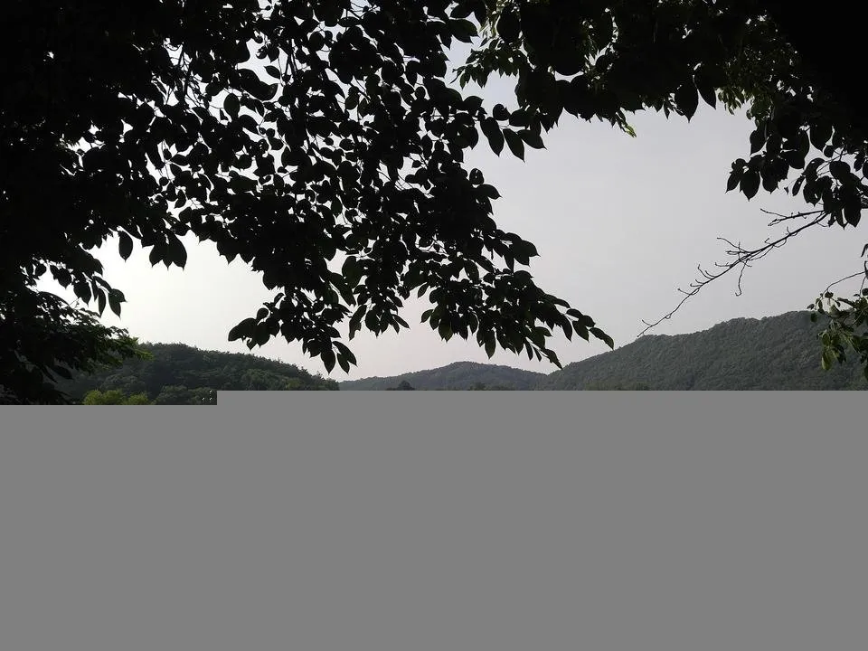 0608181638_HDR.jpg