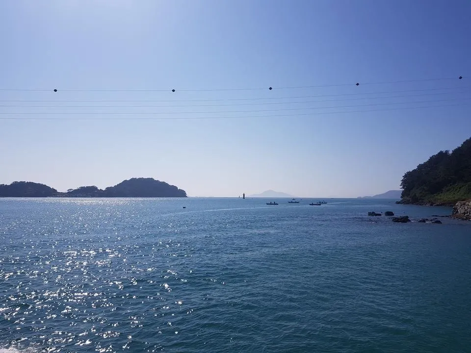 20191004_142747.jpg