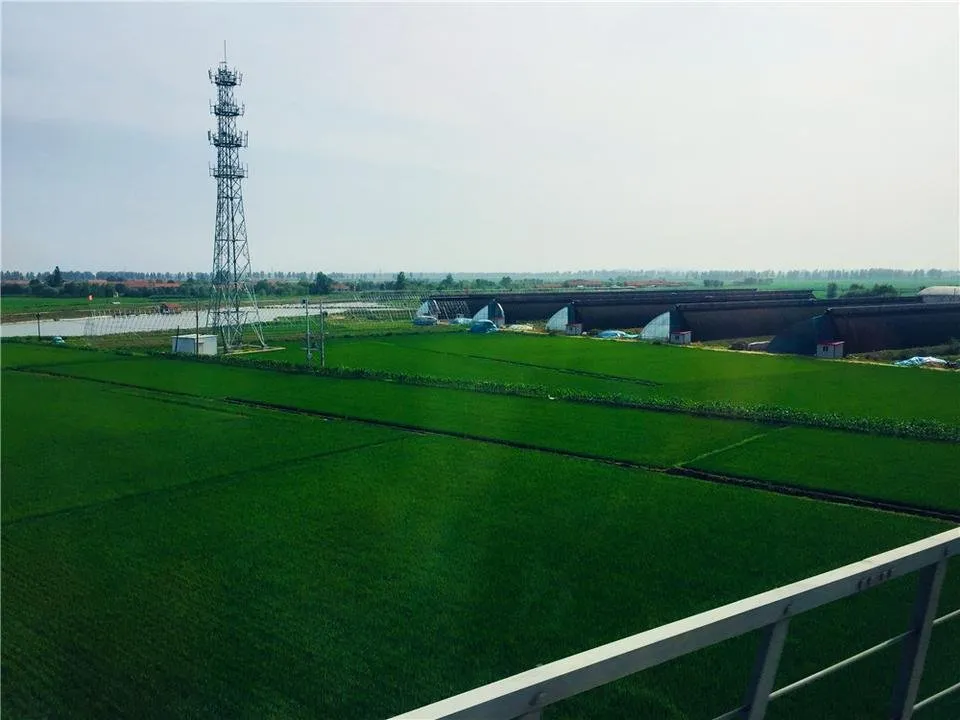 沿途.jpg