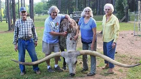190618034435-guinness-world-records-steer-01-large-169.jpg