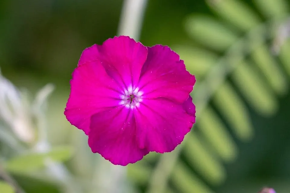IMG_6603@0,75x.jpg