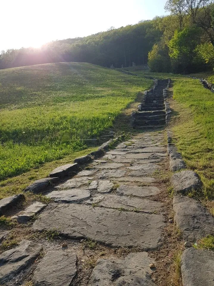 20190501_171546.jpg