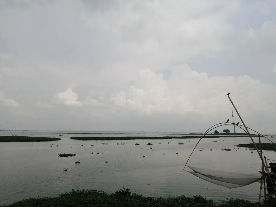 IMG_20191003_131645.jpg