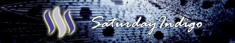 saturdayindigo.jpg