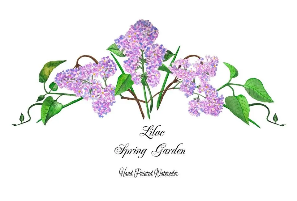 Lilac Spring Garden 5.jpg