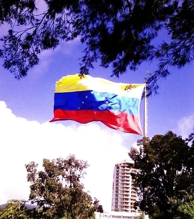 bandera avila 2.jpg