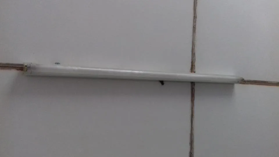 20180529_115500.jpg