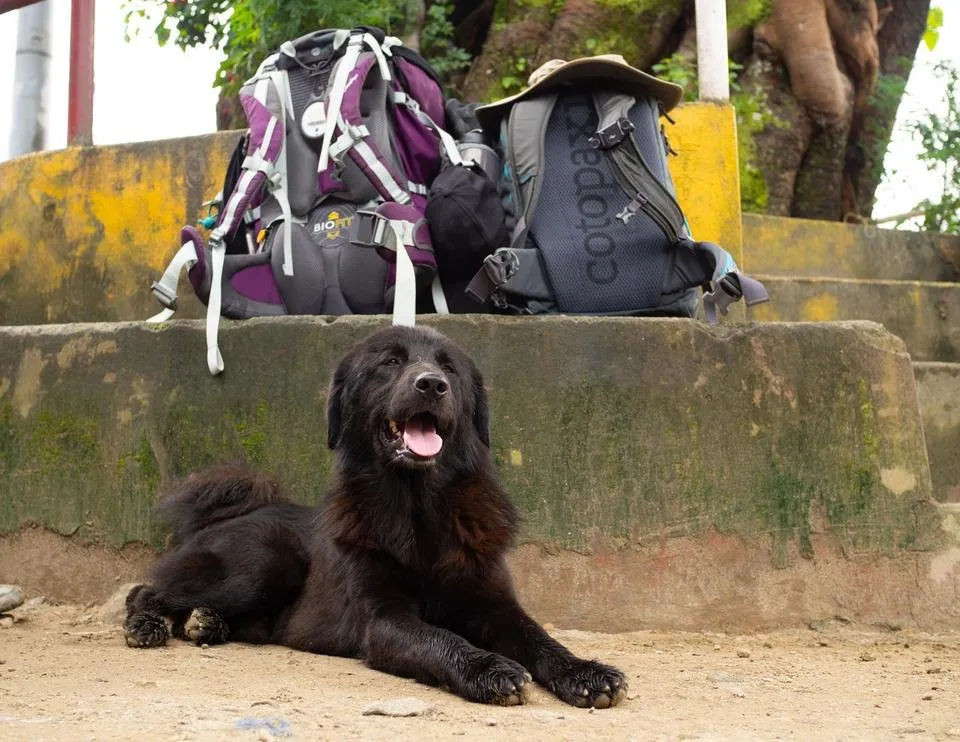 2018_09 - Nepal-168.jpg