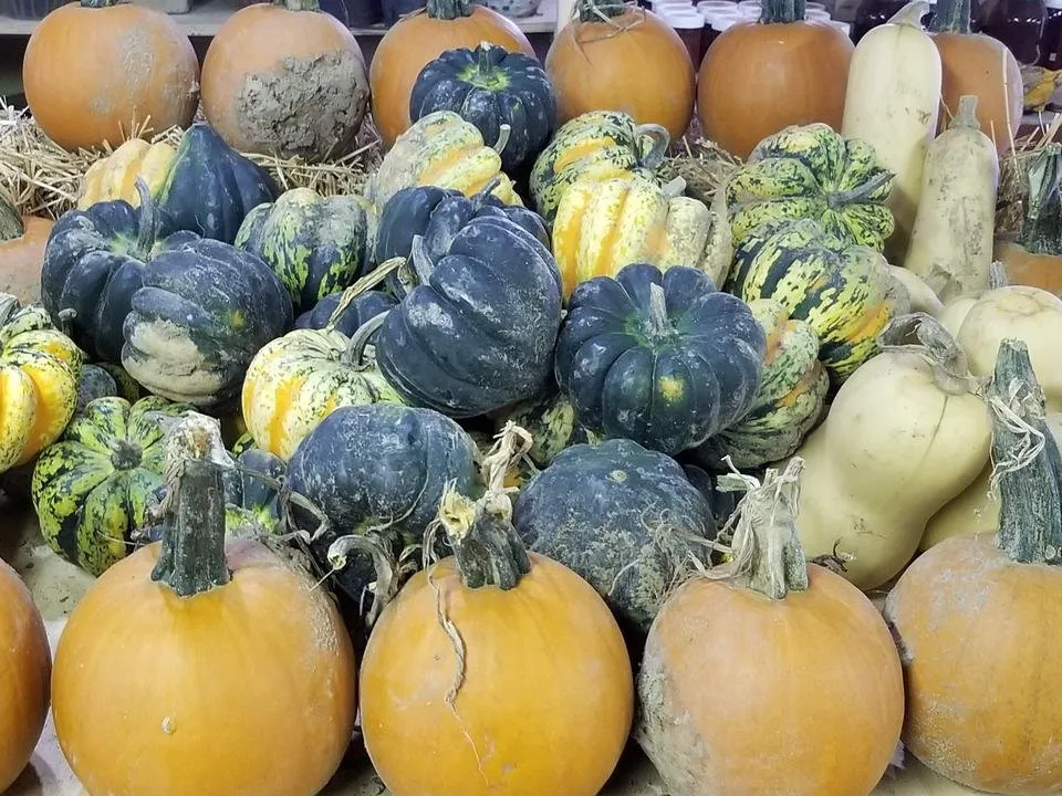 20181019_153341.jpg
