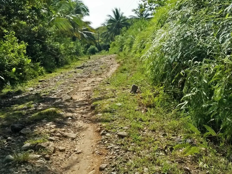 IMG20180718084642.jpg