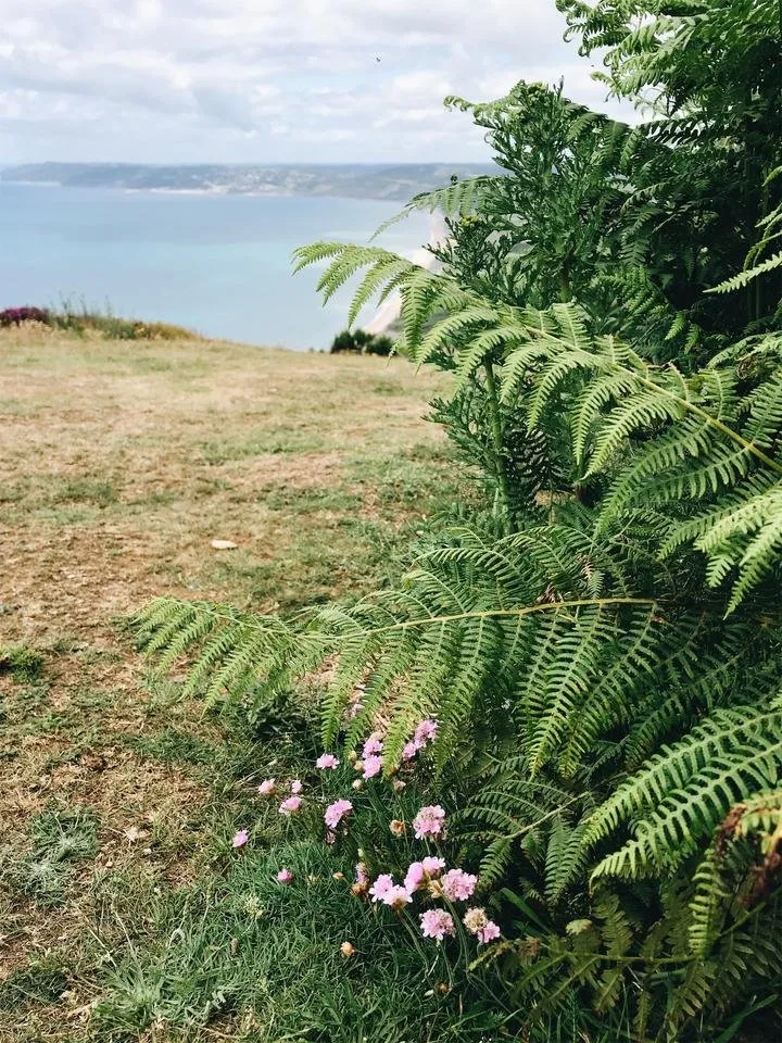 JPEG image-6DCE7F4411E8-15.jpeg