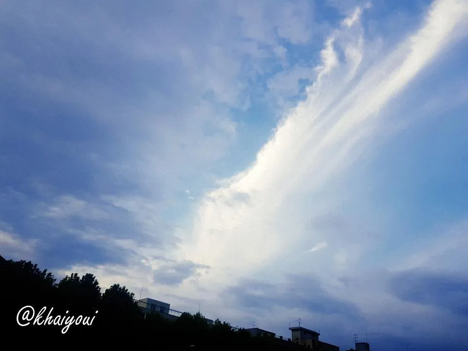 Fotor_156442884869357.jpg