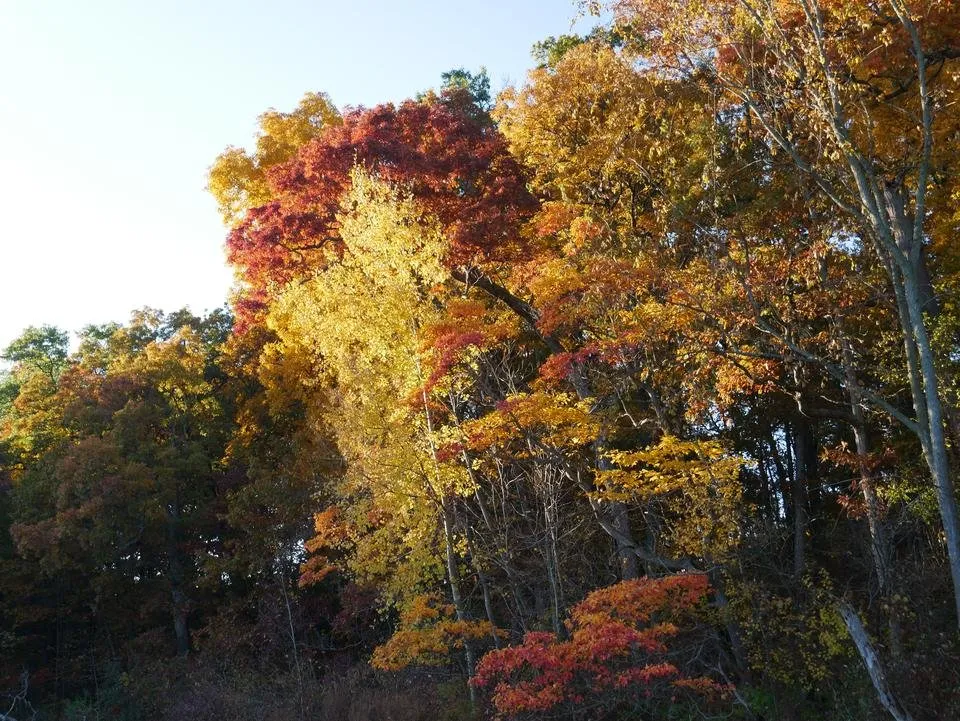 P1290184.JPG