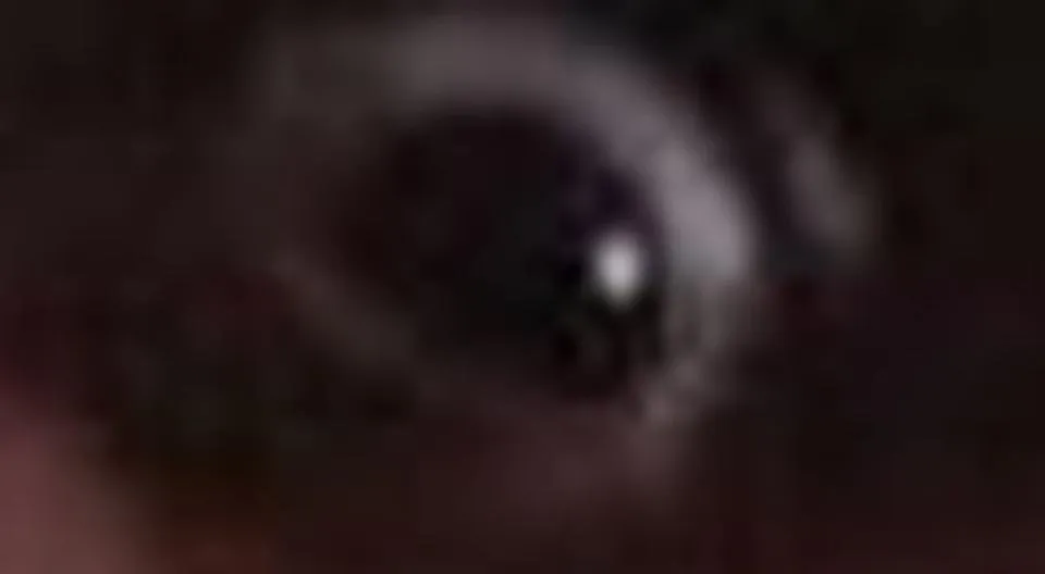 bigeye.jpg