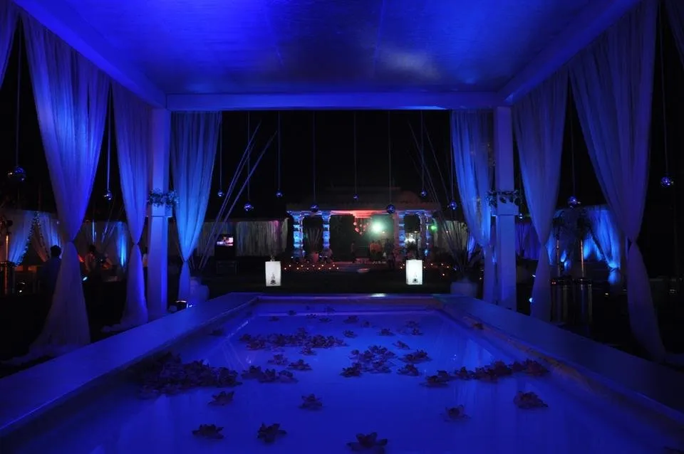 indigo06.jpg