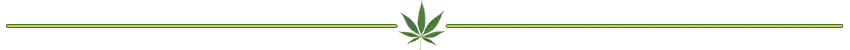 cannabis-divider-lime.png