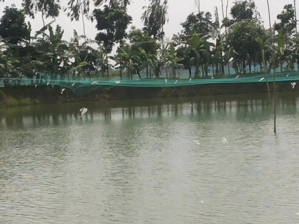 20180710_094435.jpg